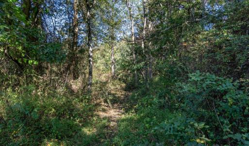 Photo #5 of ORANGE RD, PRATTS, VA 11.1 acres