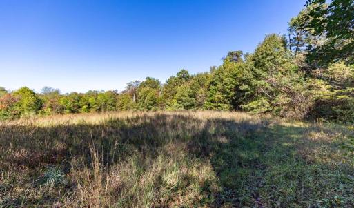 Photo #2 of ORANGE RD, PRATTS, VA 11.1 acres