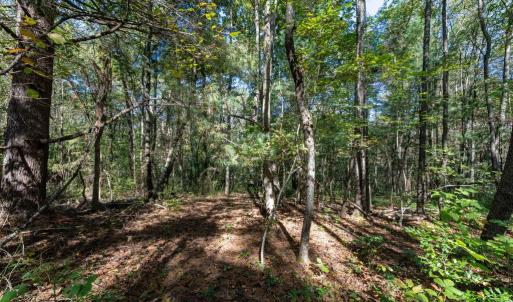 Photo #7 of ORANGE RD, PRATTS, VA 11.1 acres