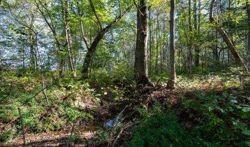 Photo #8 of ORANGE RD, PRATTS, VA 11.1 acres