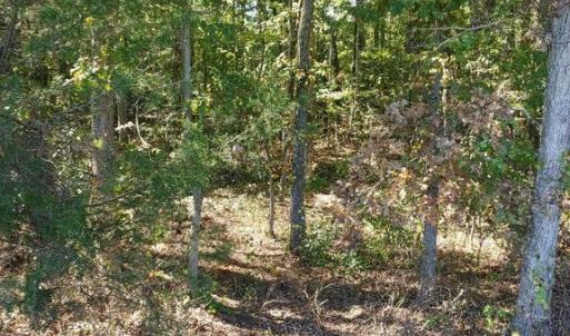 Photo #1 of 33 ZACHARY TAYLOR HWY, UNIONVILLE, VA 1.6 acres