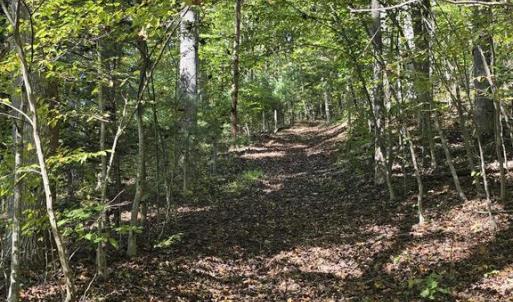 Photo #14 of HURT HOLLOW RD, BANCO, VA 29.5 acres