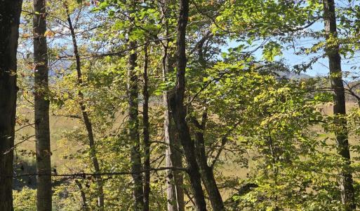 Photo #10 of HURT HOLLOW RD, BANCO, VA 29.5 acres