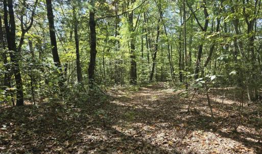 Photo #11 of HURT HOLLOW RD, BANCO, VA 29.5 acres