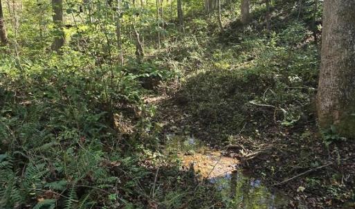 Photo #7 of HURT HOLLOW RD, BANCO, VA 29.5 acres