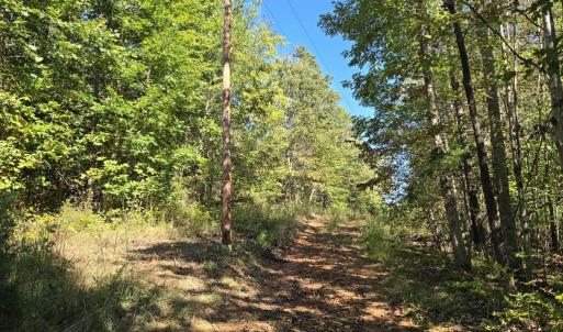 Photo #15 of HURT HOLLOW RD, BANCO, VA 29.5 acres