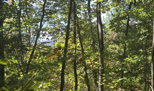 Photo #24 of HURT HOLLOW RD, BANCO, VA 29.5 acres