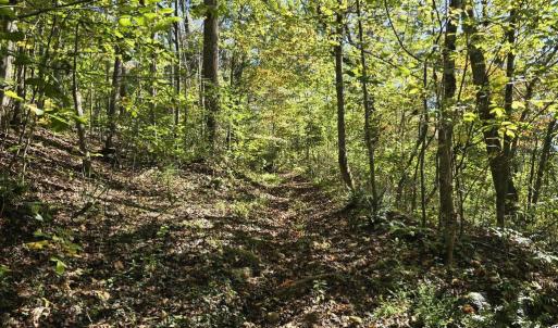 Photo #25 of HURT HOLLOW RD, BANCO, VA 29.5 acres