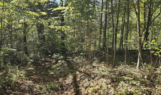 Photo #26 of HURT HOLLOW RD, BANCO, VA 29.5 acres