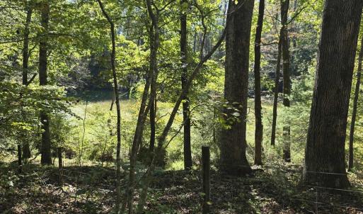 Photo #30 of HURT HOLLOW RD, BANCO, VA 29.5 acres