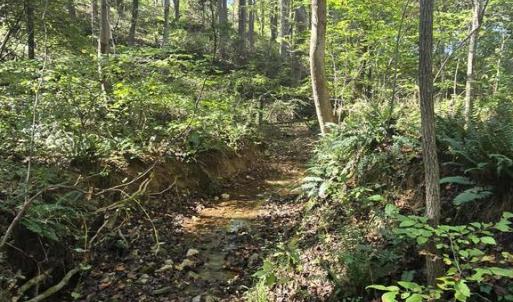 Photo #5 of HURT HOLLOW RD, BANCO, VA 29.5 acres
