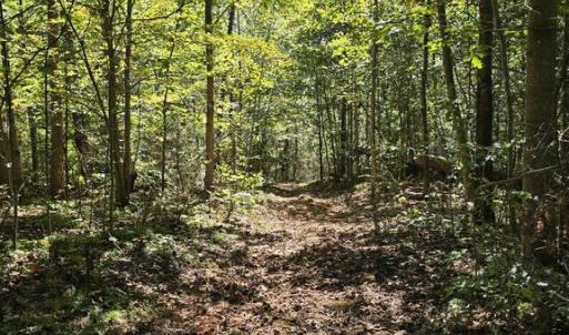 Photo #32 of HURT HOLLOW RD, BANCO, VA 29.5 acres