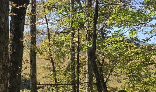 Photo #33 of HURT HOLLOW RD, BANCO, VA 29.5 acres