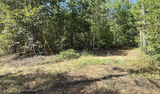 Photo #34 of HURT HOLLOW RD, BANCO, VA 29.5 acres