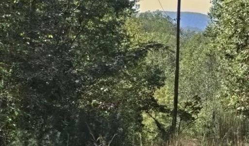 Photo #35 of HURT HOLLOW RD, BANCO, VA 29.5 acres