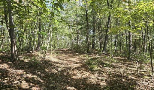Photo #19 of HURT HOLLOW RD, BANCO, VA 29.5 acres