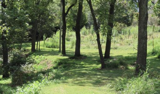 Photo #7 of TIGER VALLEY RD, WASHINGTON, VA 2.9 acres