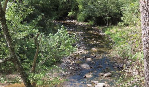 Photo #3 of TIGER VALLEY RD, WASHINGTON, VA 2.9 acres