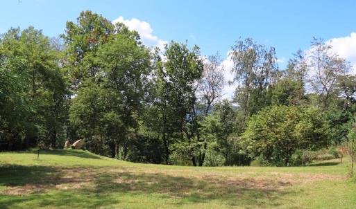 Photo #11 of TIGER VALLEY RD, WASHINGTON, VA 2.9 acres