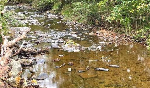 Photo #4 of TIGER VALLEY RD, WASHINGTON, VA 2.9 acres