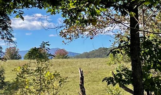 Photo #5 of TIGER VALLEY RD, WASHINGTON, VA 2.9 acres