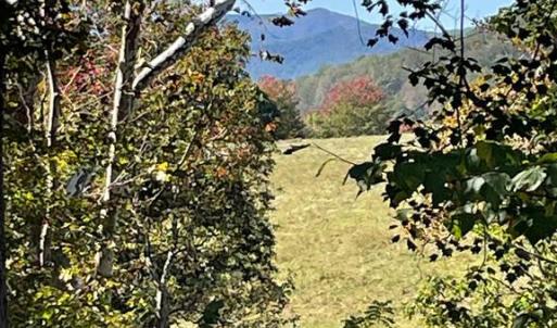 Photo #6 of TIGER VALLEY RD, WASHINGTON, VA 2.9 acres