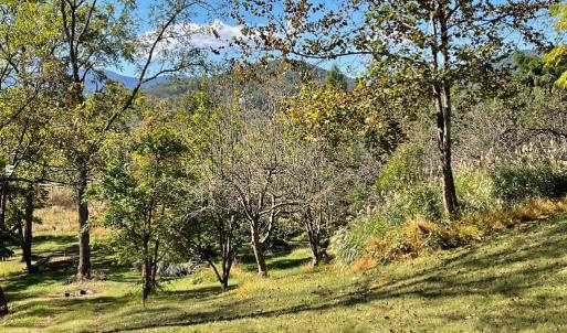 Photo #1 of TIGER VALLEY RD, WASHINGTON, VA 2.9 acres