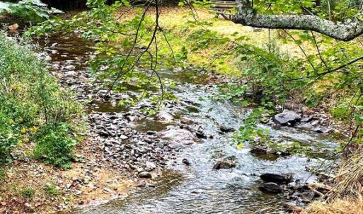Photo #7 of TIGER VALLEY RD, WASHINGTON, VA 2.9 acres