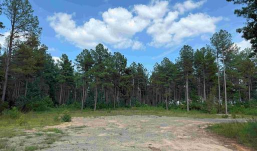 Photo #2 of HOLLAND ROAD (TRACT: JR BEDFORD-BOWLES_SIMS-1), COLUMBIA, VA 61.1 acres