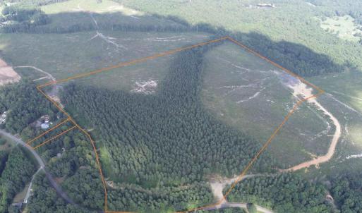 Photo #3 of HOLLAND ROAD (TRACT: JR BEDFORD-BOWLES_SIMS-1), COLUMBIA, VA 61.1 acres