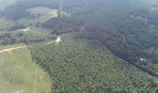 Photo #5 of HOLLAND ROAD (TRACT: JR BEDFORD-BOWLES_SIMS-1), COLUMBIA, VA 61.1 acres