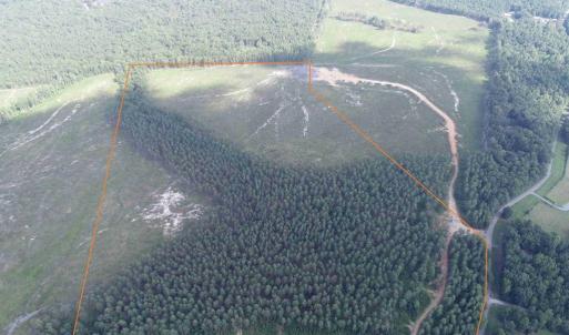 Photo #4 of HOLLAND ROAD (TRACT: JR BEDFORD-BOWLES_SIMS-1), COLUMBIA, VA 61.1 acres