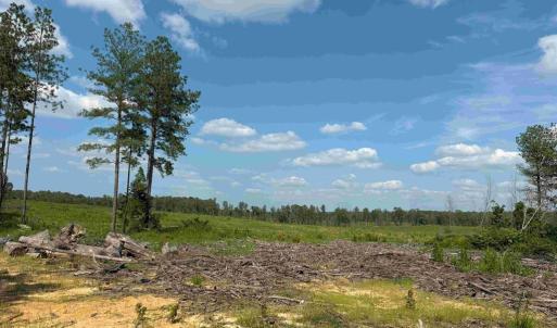 Photo #10 of HOLLAND ROAD (TRACT: JR BEDFORD-BOWLES_SIMS-1), COLUMBIA, VA 61.1 acres