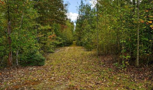 Photo #4 of CROSS COUNTRY RD., MINERAL, VA 101.0 acres
