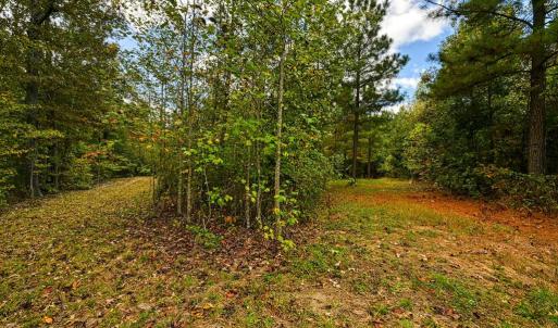 Photo #5 of CROSS COUNTRY RD., MINERAL, VA 101.0 acres