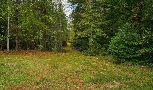 Photo #7 of CROSS COUNTRY RD., MINERAL, VA 101.0 acres