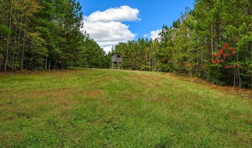 Photo #8 of CROSS COUNTRY RD., MINERAL, VA 101.0 acres