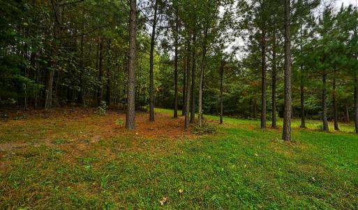 Photo #14 of CROSS COUNTRY RD., MINERAL, VA 101.0 acres