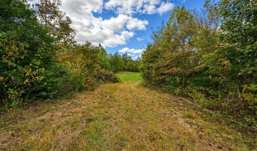 Photo #22 of CROSS COUNTRY RD., MINERAL, VA 101.0 acres