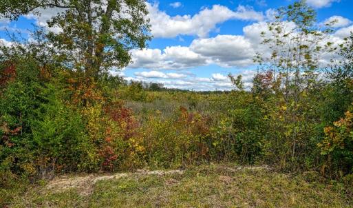 Photo #31 of CROSS COUNTRY RD., MINERAL, VA 101.0 acres