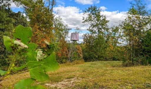 Photo #43 of CROSS COUNTRY RD., MINERAL, VA 101.0 acres