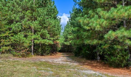 Photo #33 of CROSS COUNTRY RD., MINERAL, VA 101.0 acres