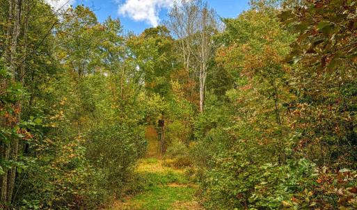 Photo #6 of CROSS COUNTRY RD., MINERAL, VA 101.0 acres