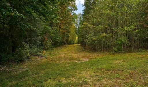 Photo #9 of CROSS COUNTRY RD., MINERAL, VA 101.0 acres