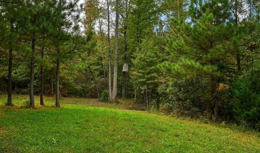 Photo #15 of CROSS COUNTRY RD., MINERAL, VA 101.0 acres