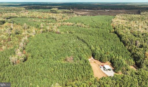 Photo #17 of CROSS COUNTRY RD., MINERAL, VA 101.0 acres