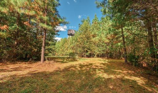 Photo #20 of CROSS COUNTRY RD., MINERAL, VA 101.0 acres