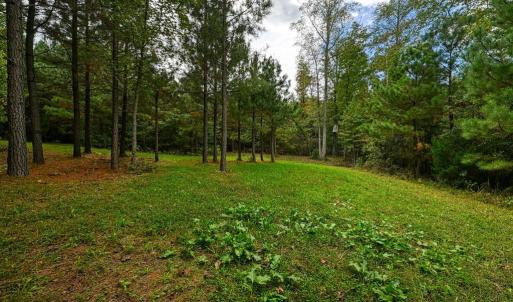 Photo #25 of CROSS COUNTRY RD., MINERAL, VA 101.0 acres