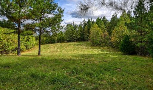 Photo #32 of CROSS COUNTRY RD., MINERAL, VA 101.0 acres