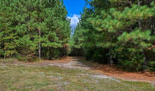 Photo #42 of CROSS COUNTRY RD., MINERAL, VA 101.0 acres